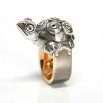 Ring Turtle