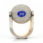 Paladin | Ring Coriolis