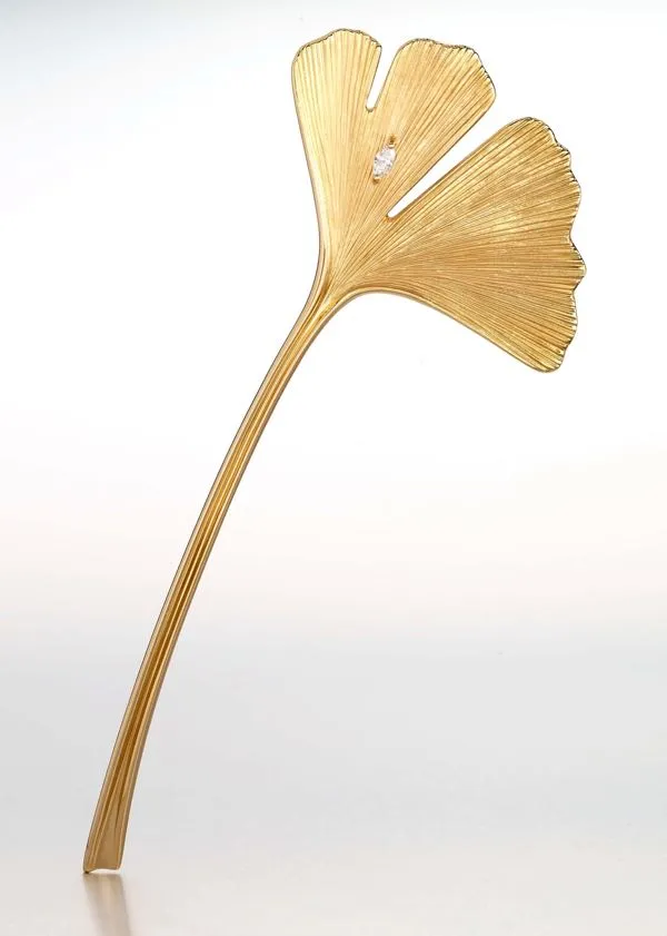 Ginkgo | Pin Ginkgo Petiole